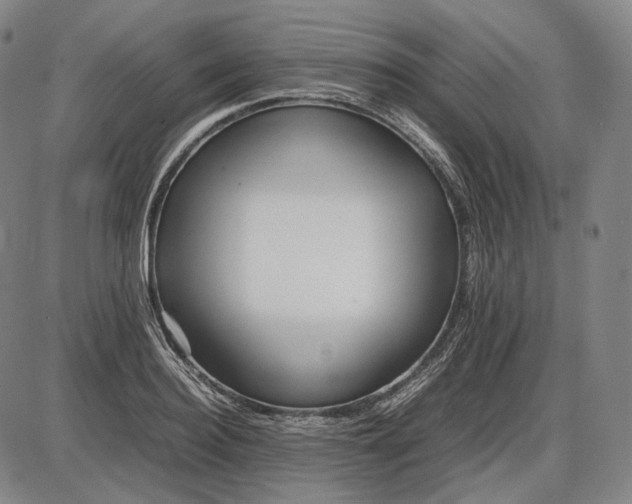 X0000085830940200703301615