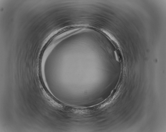 X0000085830941200703301615