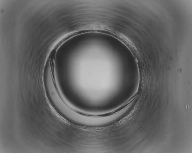 X0000085830942200703301615