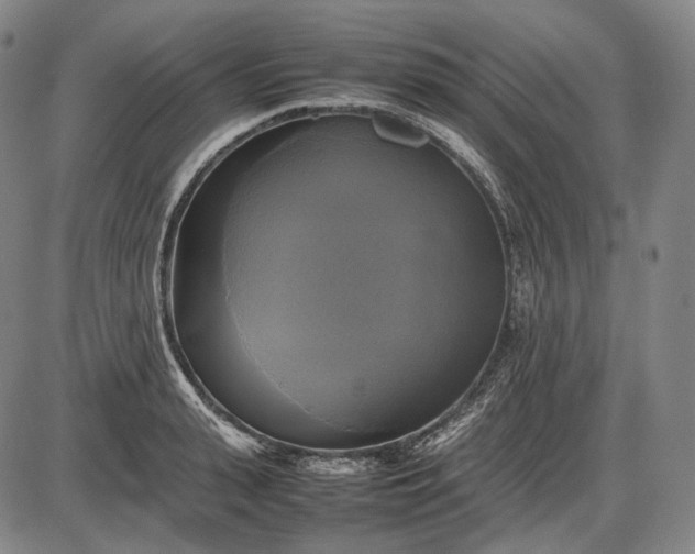 X0000085830943200703301616