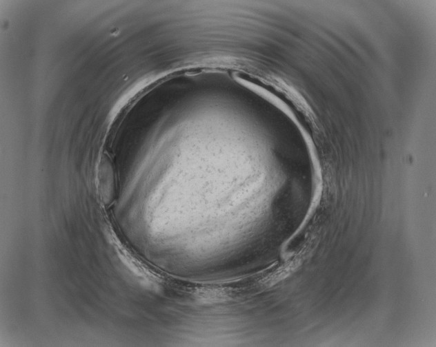 X0000085830944200703301616