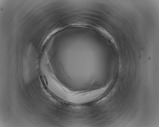 X0000085830945200703301616