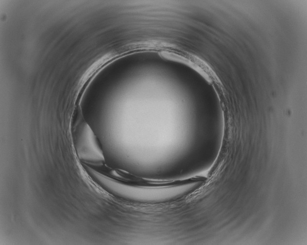 X0000085830946200703301616