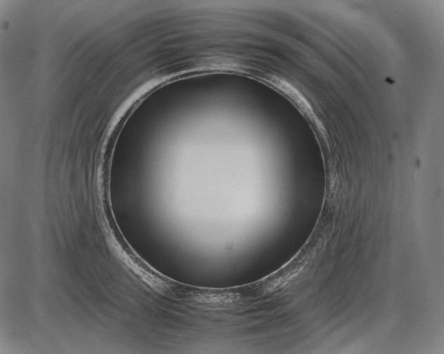 X0000085830947200703301616