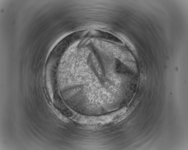 X0000085830948200703301616