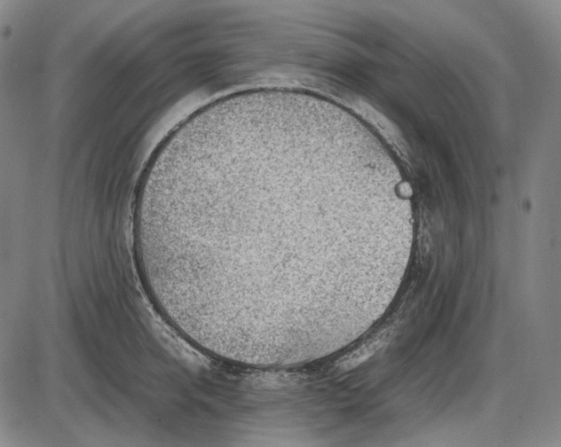 X0000085830950200703301616