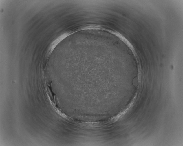 X0000085830953200703301616