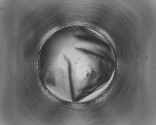 X0000085830954200703301616