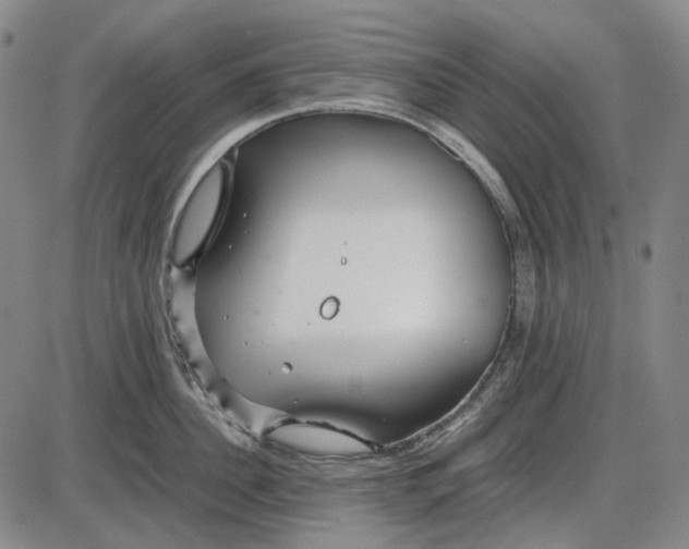 X0000085830956200703301616