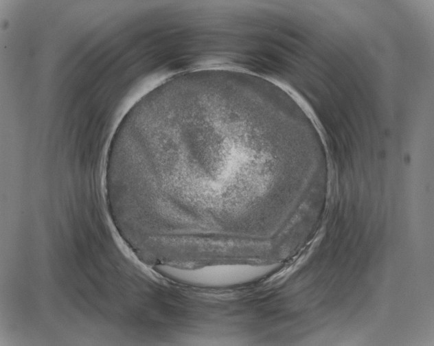 X0000085830957200703301616