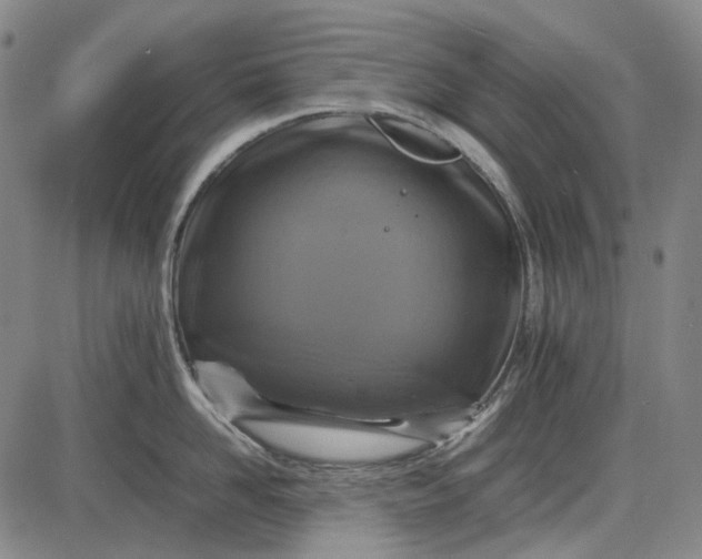 X0000085830958200703301616