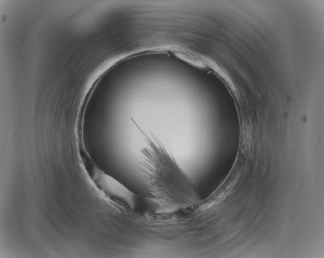 X0000085830959200703301616