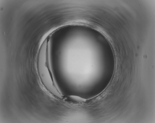 X0000085830960200703301616