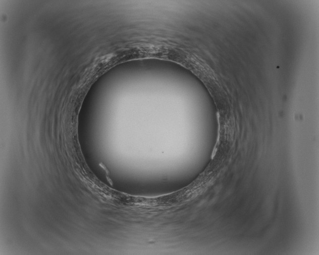 X0000085830961200703301615