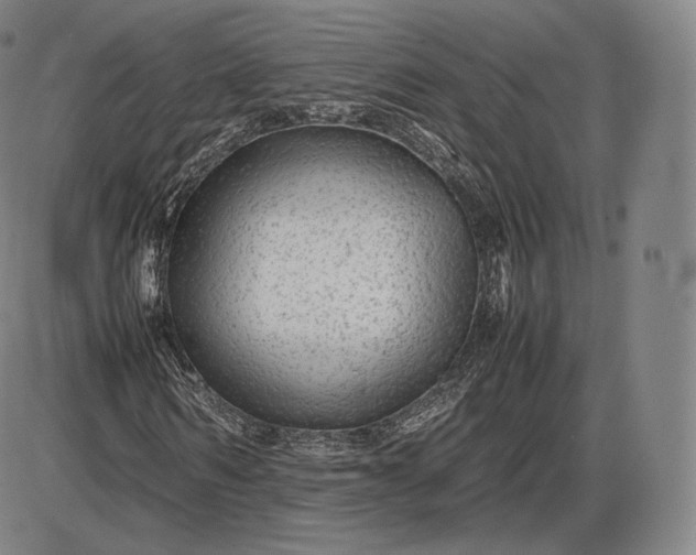 X0000085830962200703301615