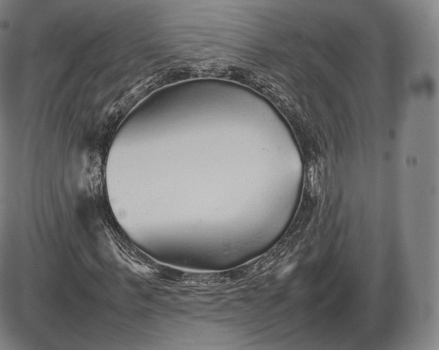 X0000085830963200703301615