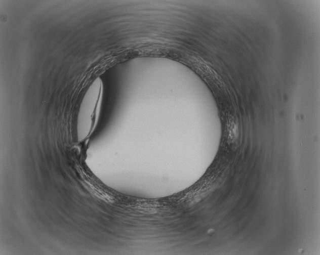 X0000085830964200703301615