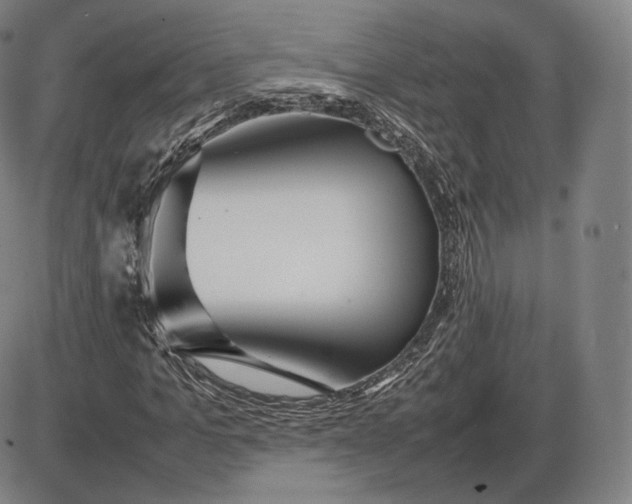 X0000085830965200703301615