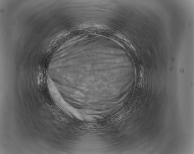 X0000085830966200703301615