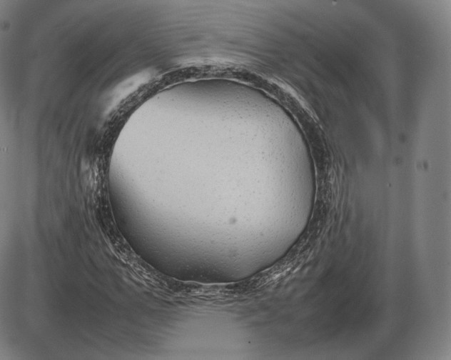 X0000085830967200703301615