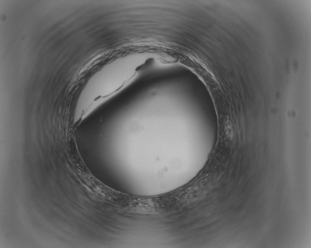 X0000085830968200703301615