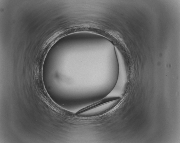 X0000085830969200703301615