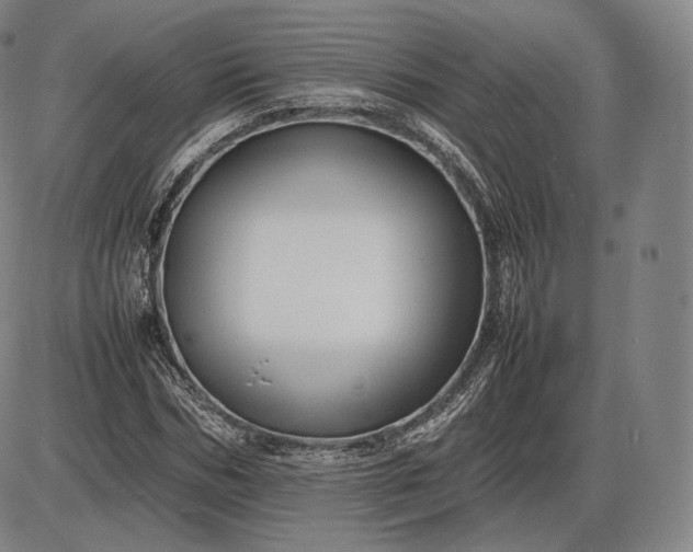 X0000085830970200703301615