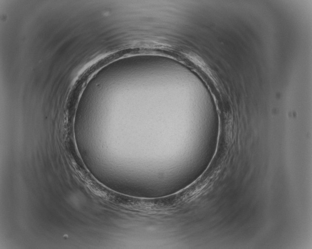 X0000085830971200703301615