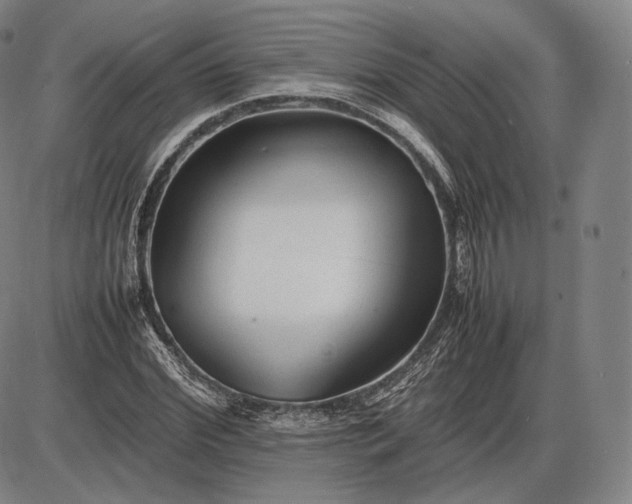 X0000085830972200703301615