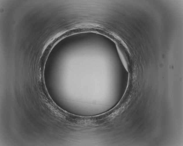 X0000085830973200703301615