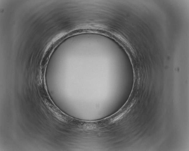 X0000085830974200703301615