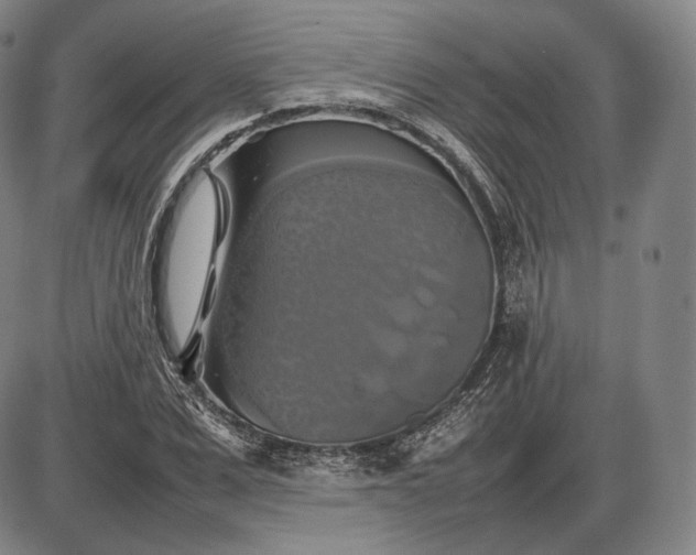 X0000085830975200703301615