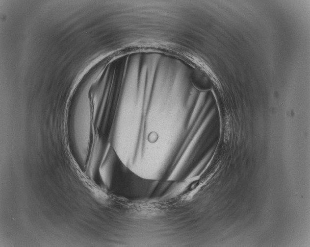 X0000085830976200703301615