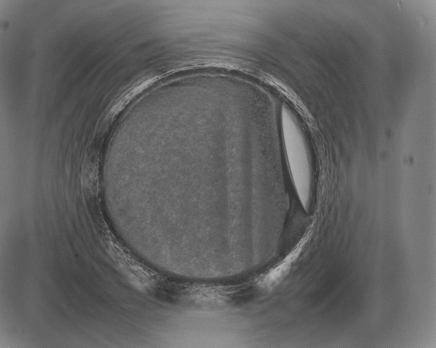 X0000085830977200703301615