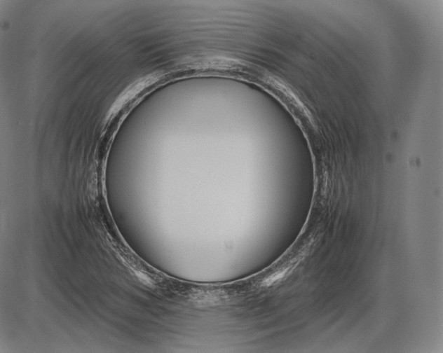 X0000085830978200703301615