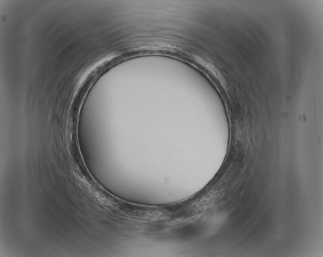 X0000085830979200703301615