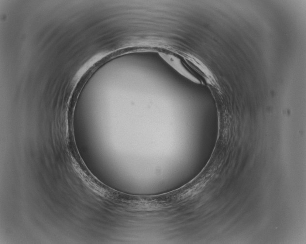 X0000085830980200703301615