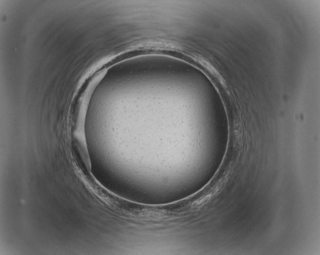 X0000085830981200703301615