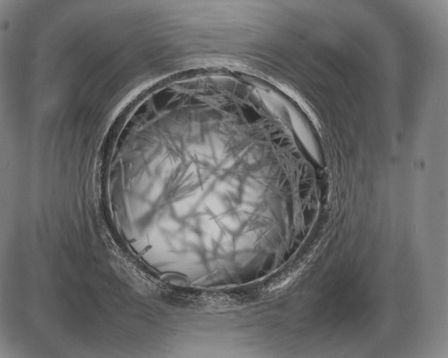 X0000085830983200703301615