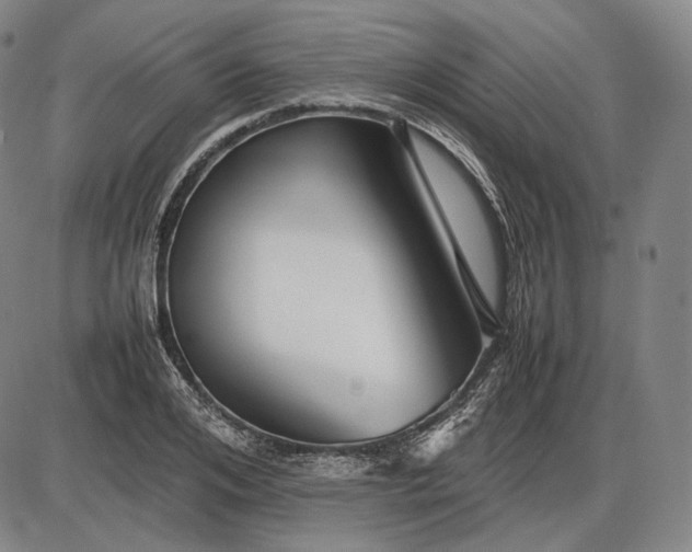 X0000085830984200703301615