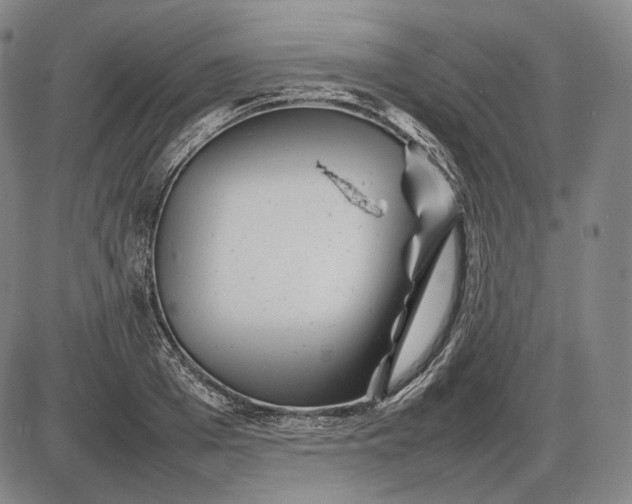 X0000085830985200703301615