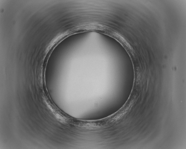 X0000085830986200703301615