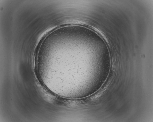 X0000085830987200703301615