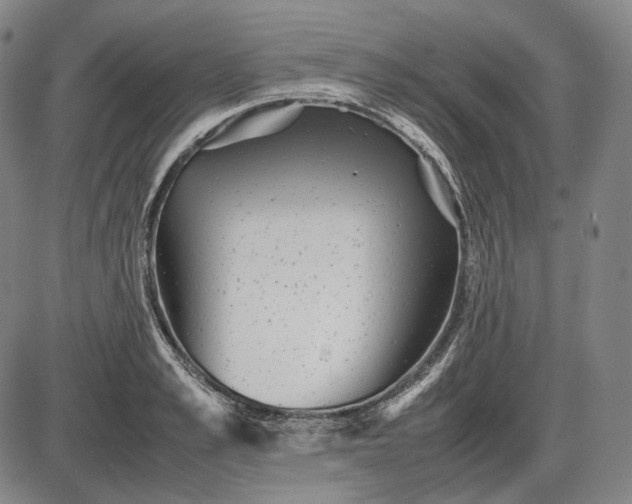 X0000085830989200703301615