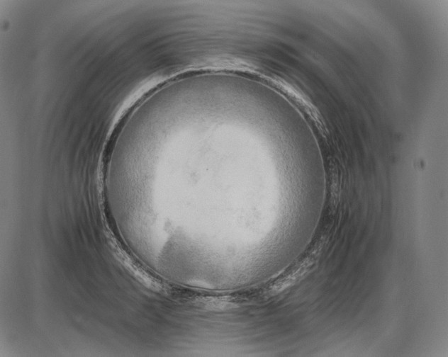 X0000085830990200703301615