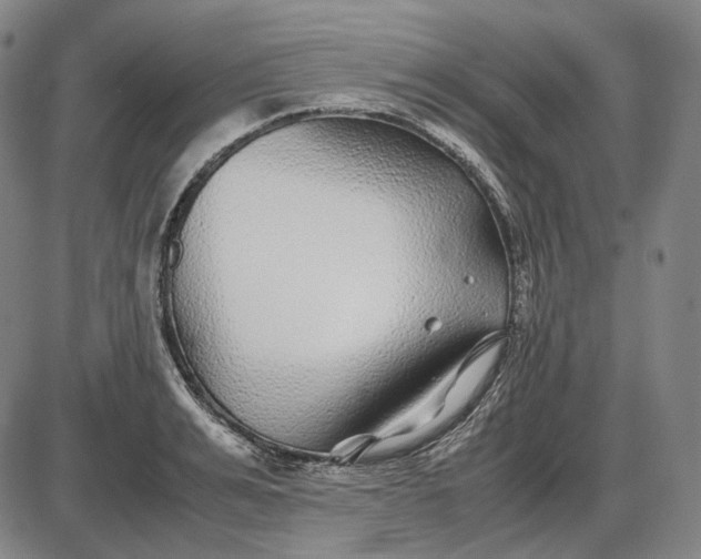 X0000085830991200703301614