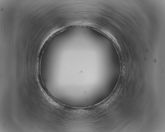 X0000085830992200703301614