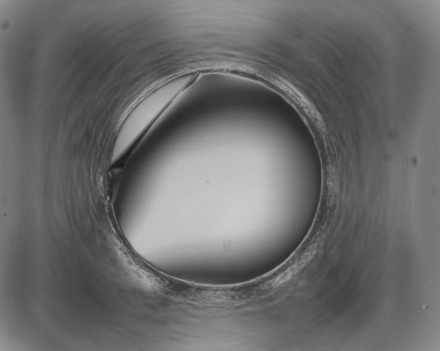 X0000085830993200703301614