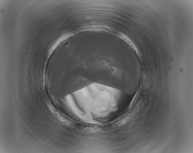 X0000085830994200703301614