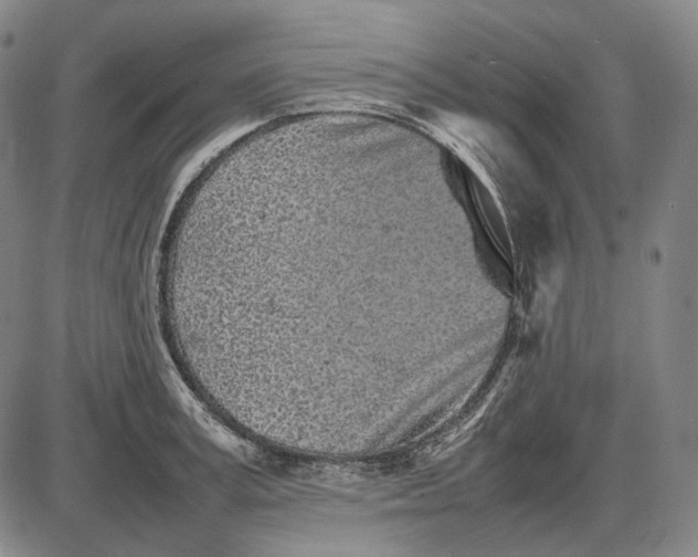 X0000085830995200703301614